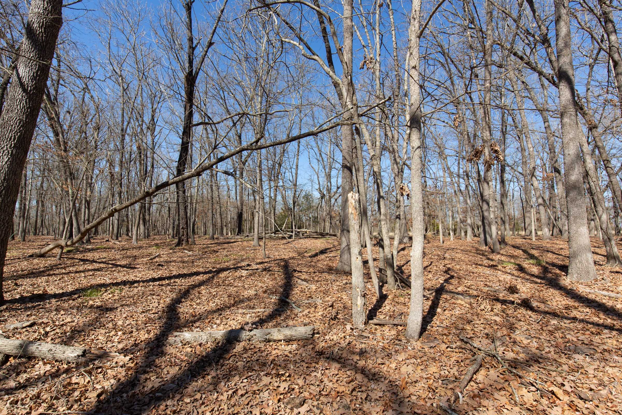 Wishing Star Ranch Tract 30 photo 2