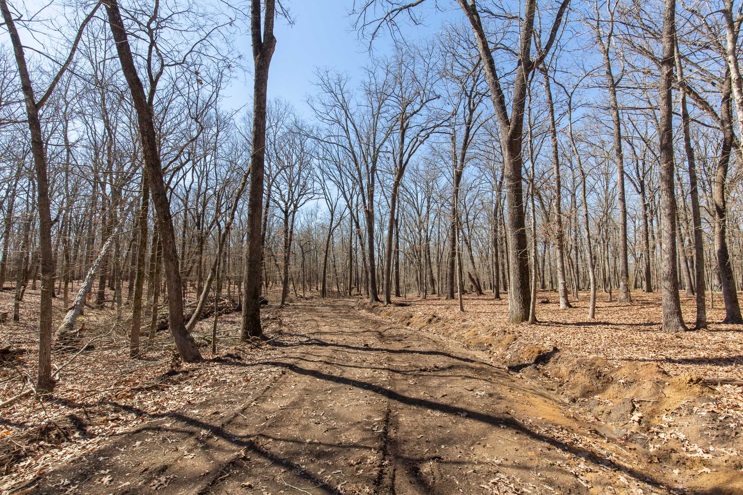 Wishing Star Ranch Tract 30 photo 16