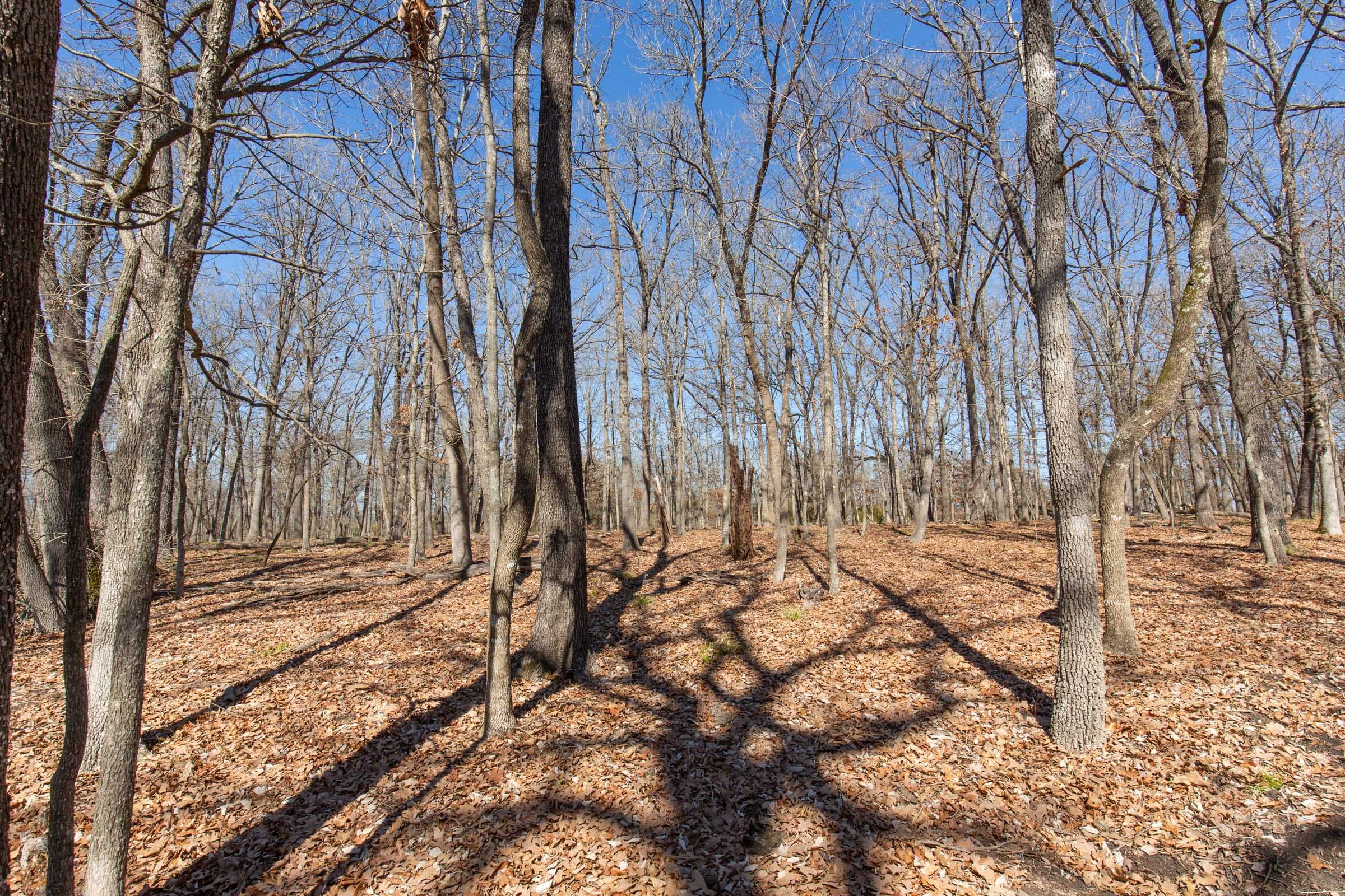 Wishing Star Ranch Tract 30 photo 18