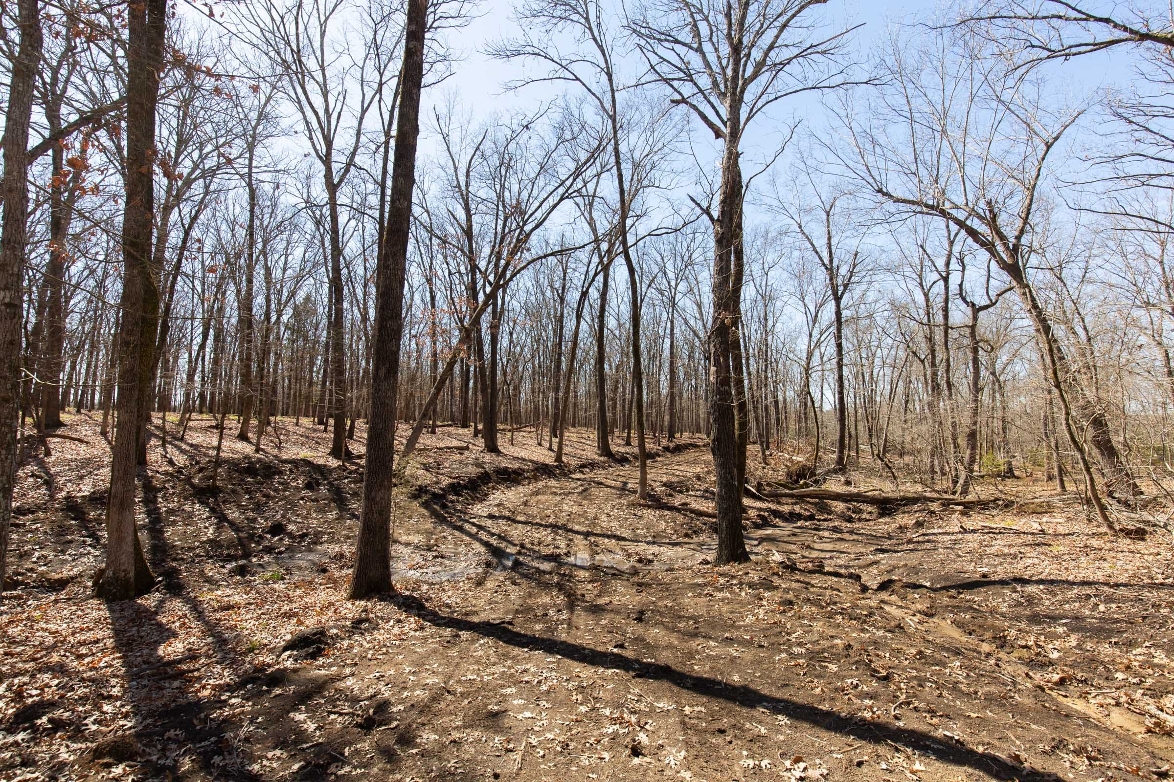 Wishing Star Ranch Tract 30 photo 19