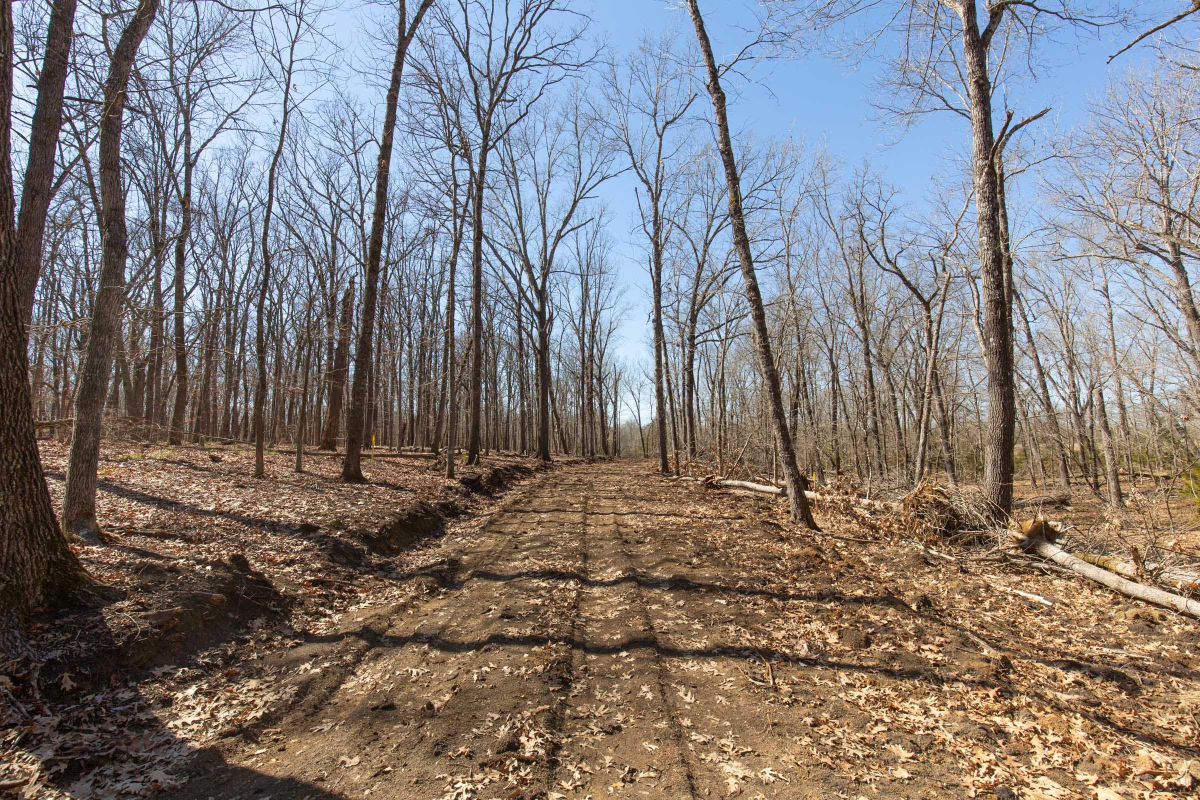 Wishing Star Ranch Tract 30 photo 20