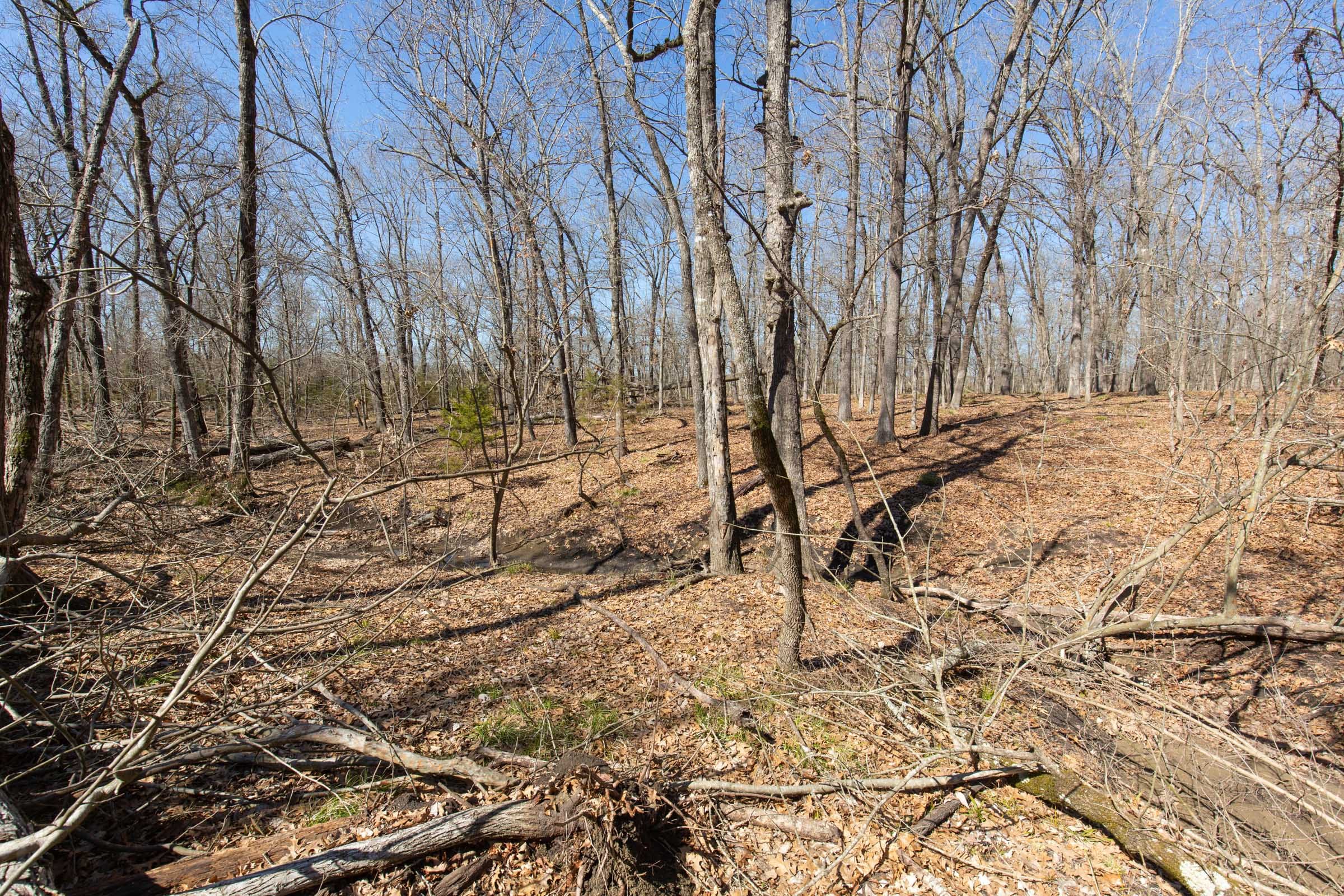 Wishing Star Ranch Tract 30 photo 21