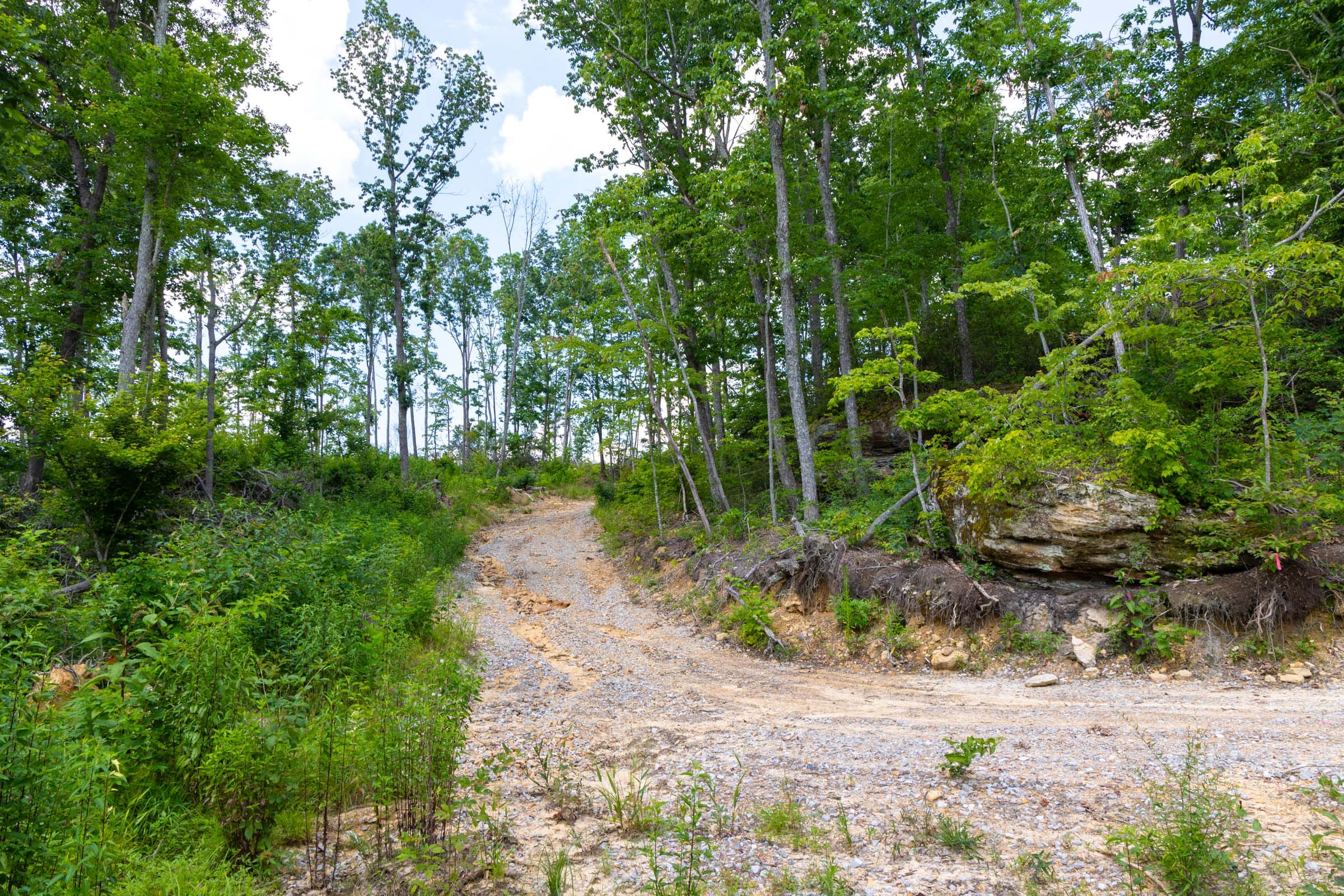 Creek Hollow Phase II Tract 68 photo 7