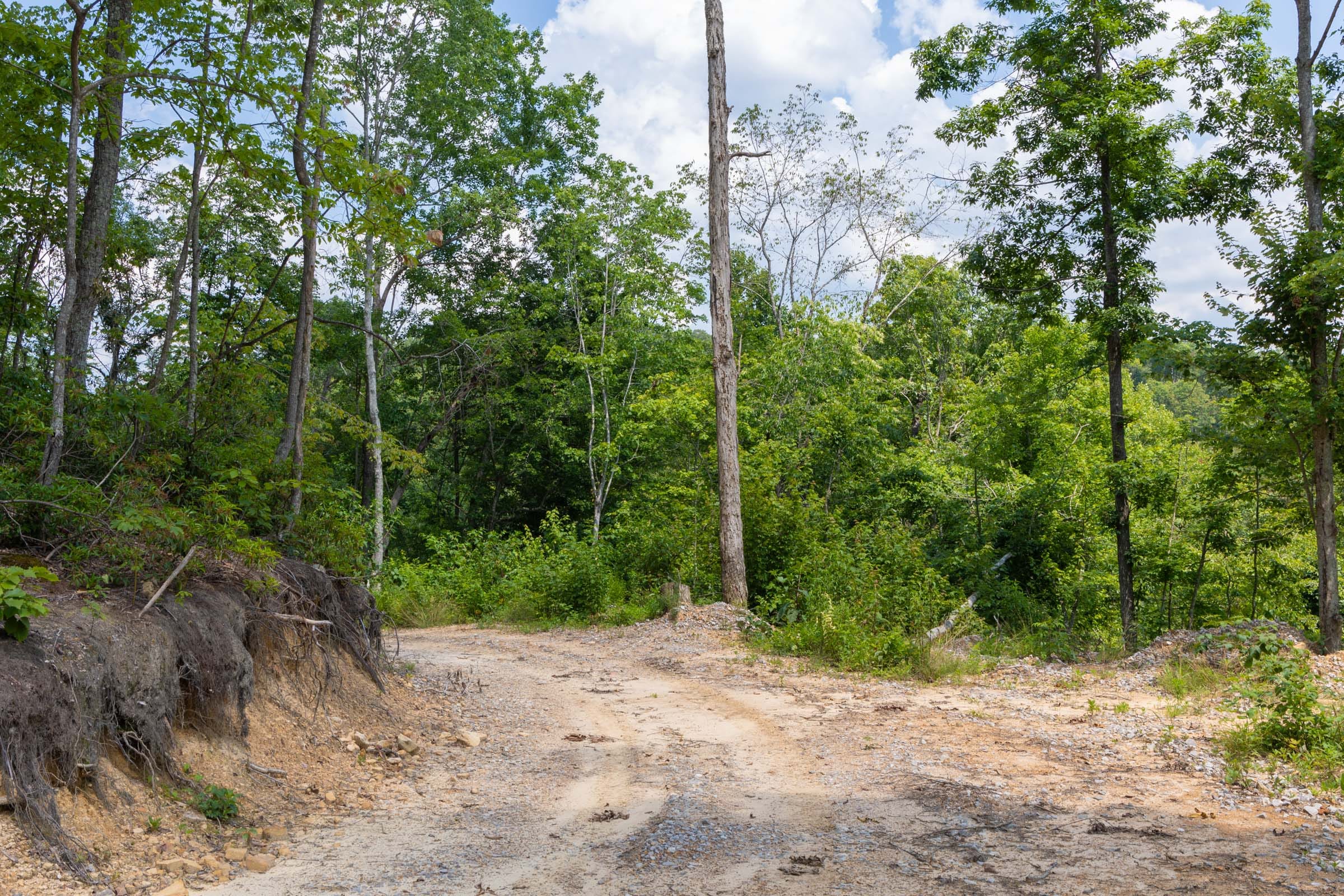 Creek Hollow Phase II Tract 68 photo 2