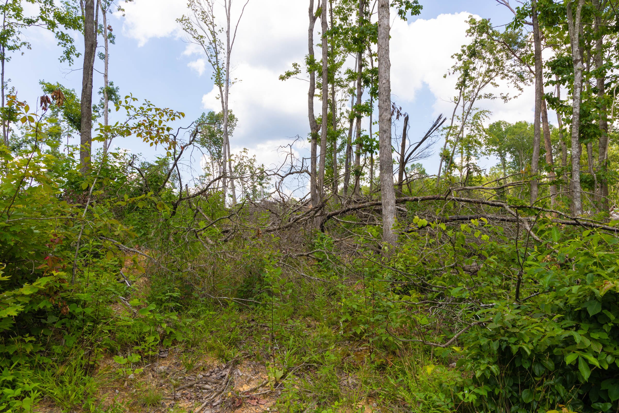 Creek Hollow Phase II Tract 68 photo 10