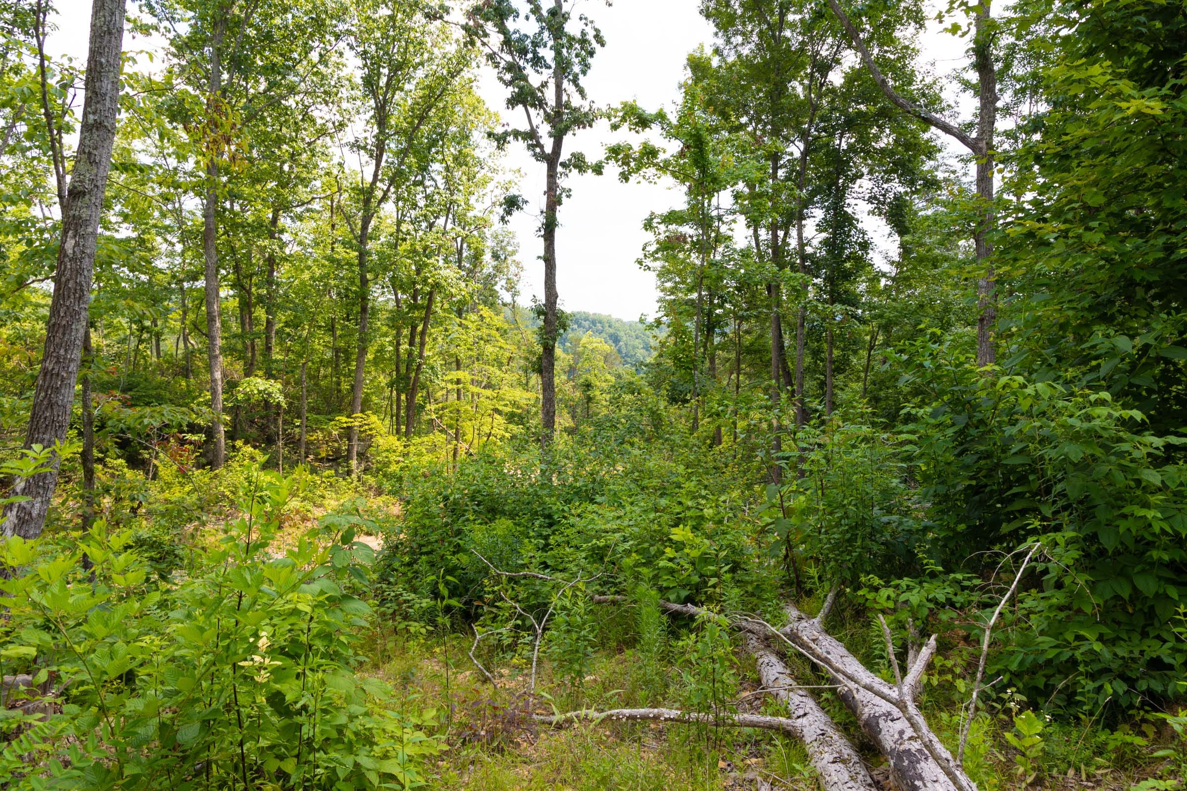 Creek Hollow Phase II Tract 68 photo 5