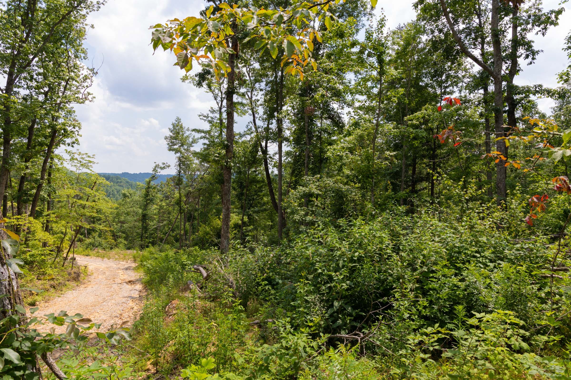 Creek Hollow Phase II Tract 68 photo 3