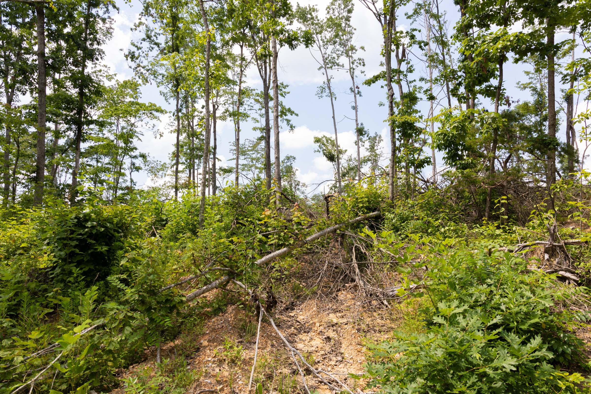 Creek Hollow Phase II Tract 68 photo 11