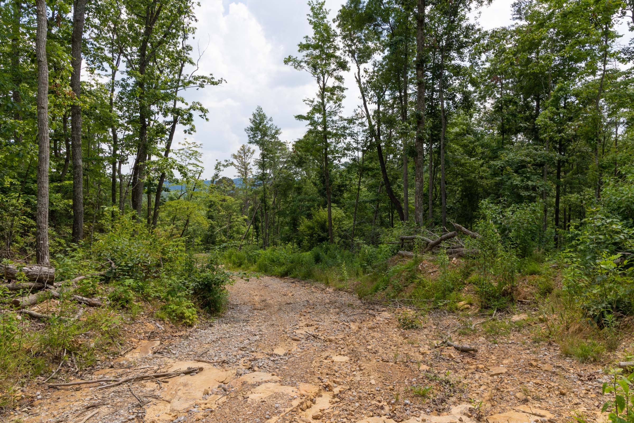 Creek Hollow Phase II Tract 68 photo 9