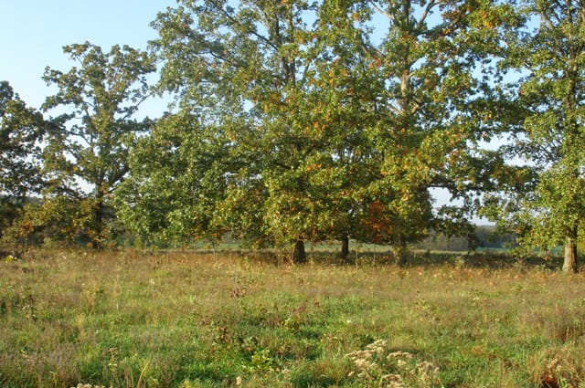 Valley View Ranch Tract 5 photo 3