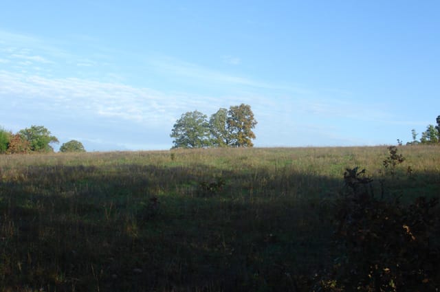Valley View Ranch Tract 5 photo 5