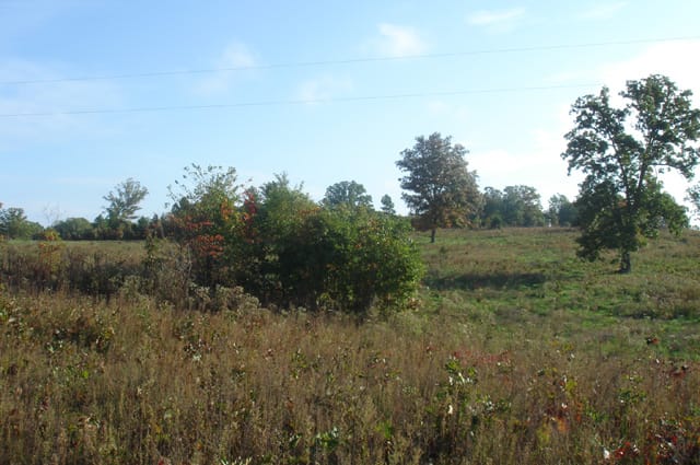 Valley View Ranch Tract 5 photo 7