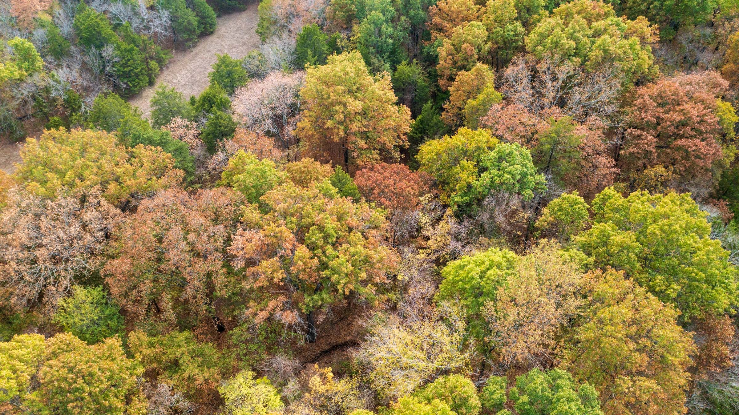 Crystal Springs Tract 10 photo 4