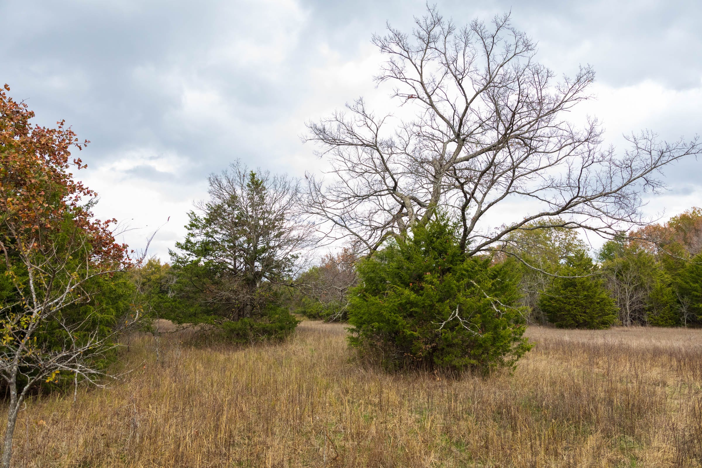 Crystal Springs Tract 10 photo 5
