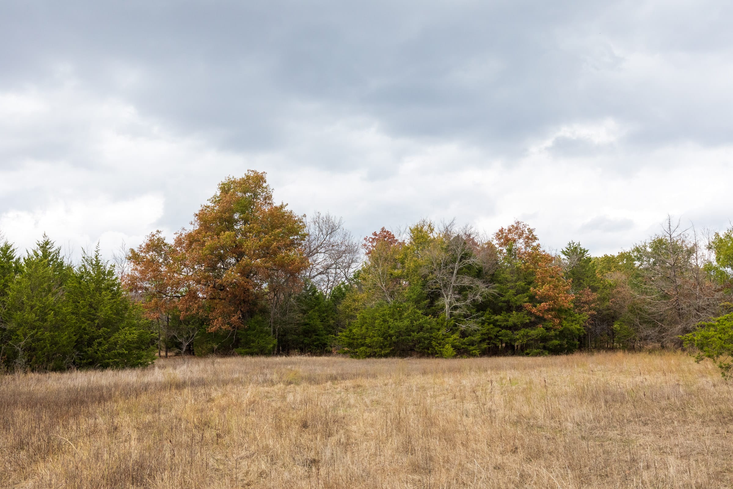 Crystal Springs Tract 10 photo 6