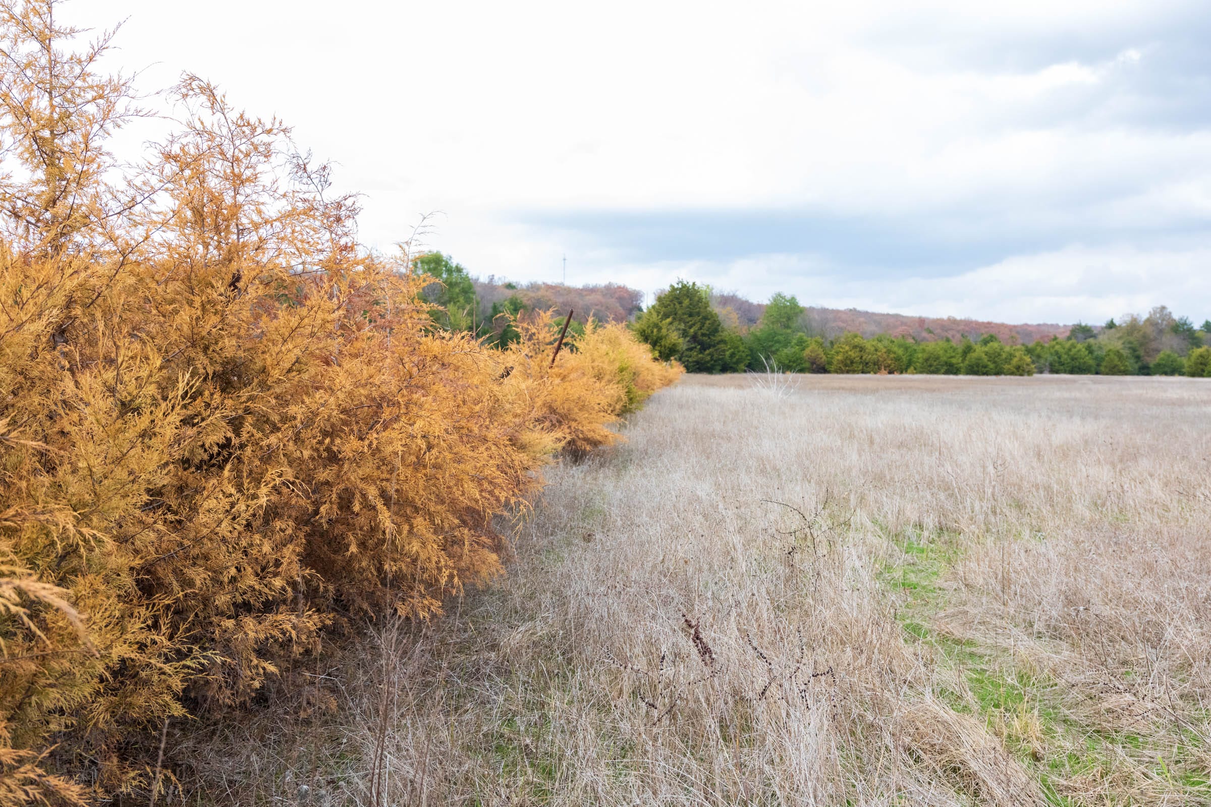 Crystal Springs Tract 10 photo 7