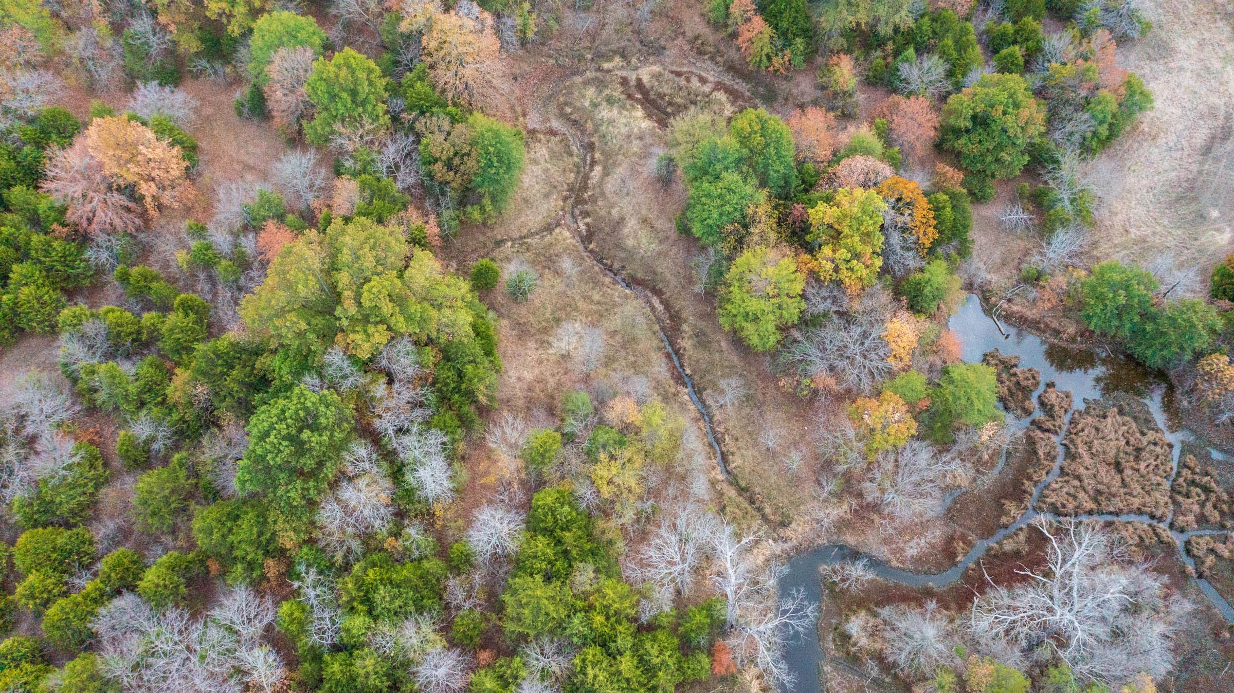 Crystal Springs Tract 10 photo 8
