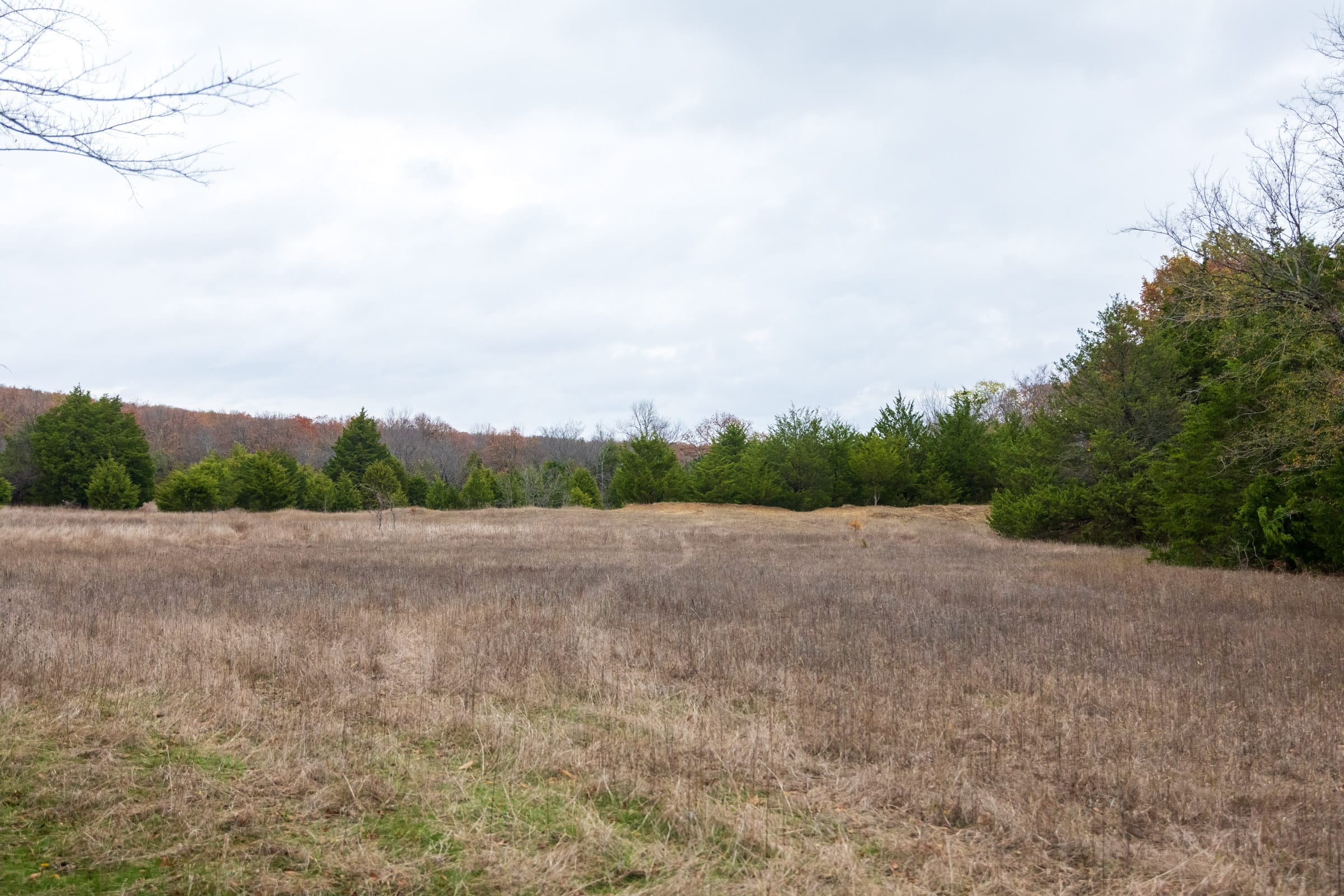 Crystal Springs Tract 10 photo 10