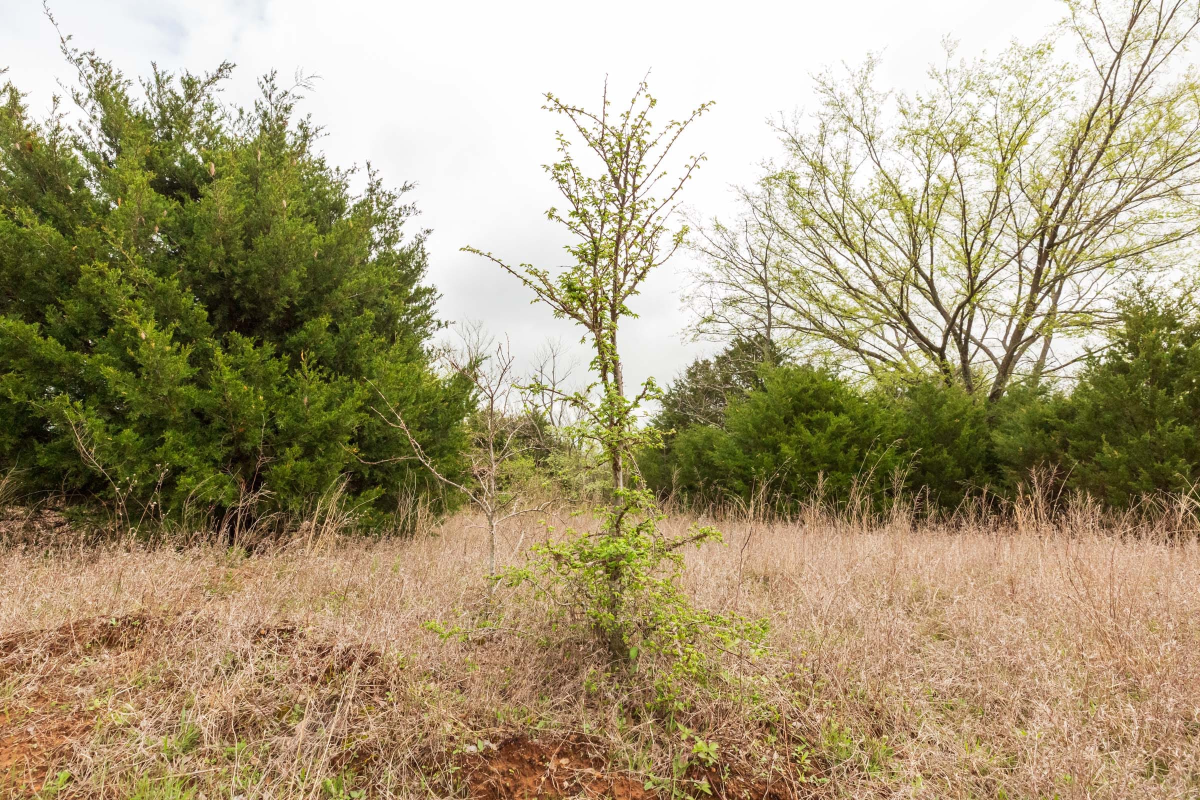 Moonrise Meadows Tract 15 photo 3