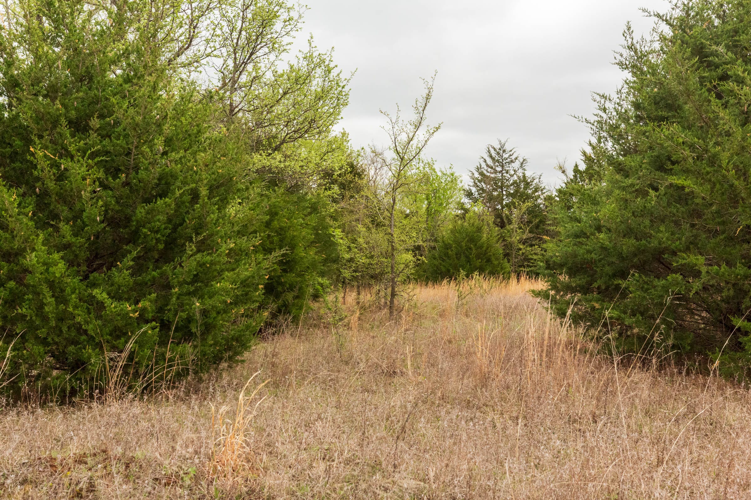 Moonrise Meadows Tract 15 photo 5