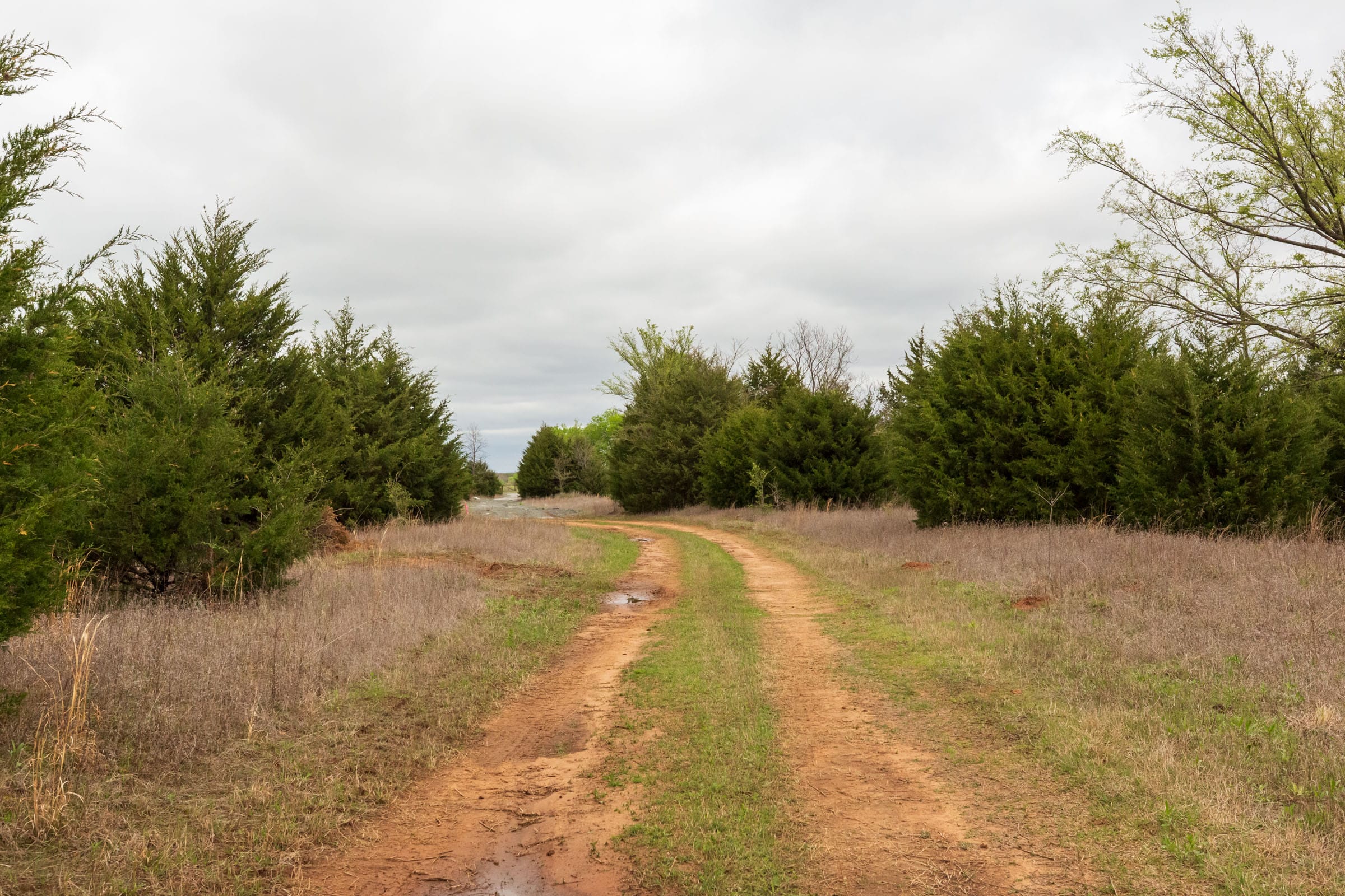 Moonrise Meadows Tract 15 photo 1