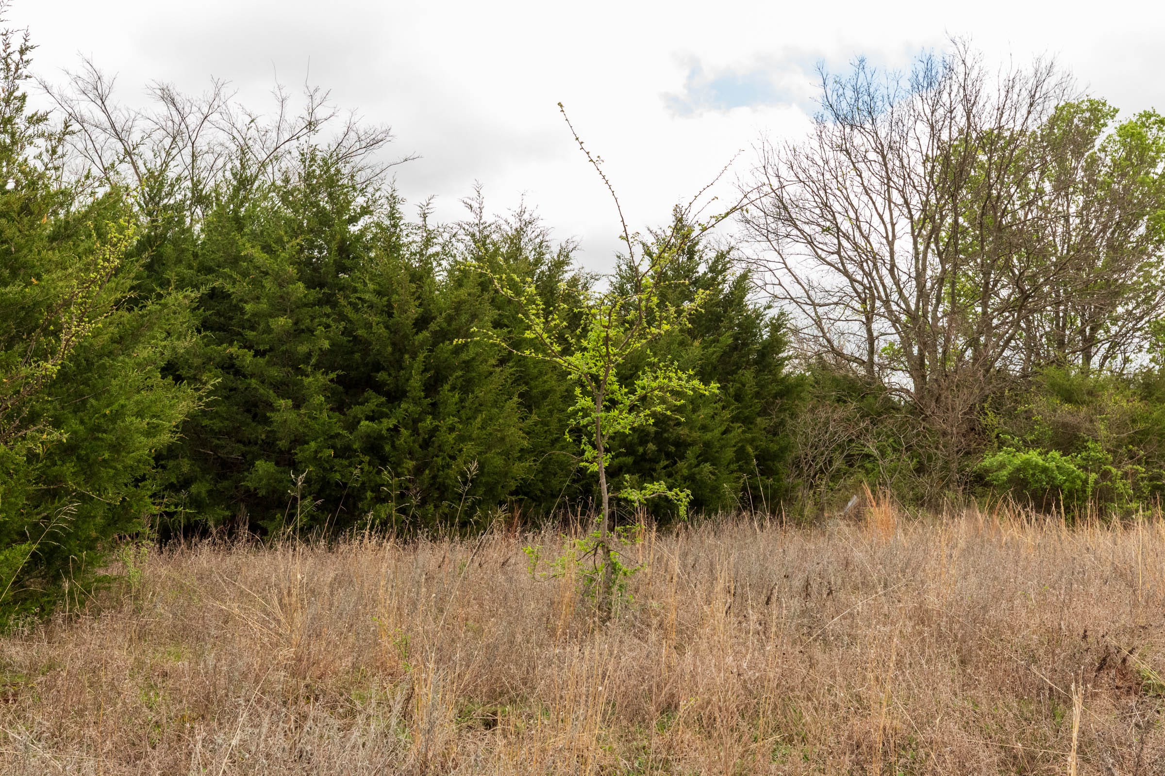 Moonrise Meadows Tract 15 photo 11