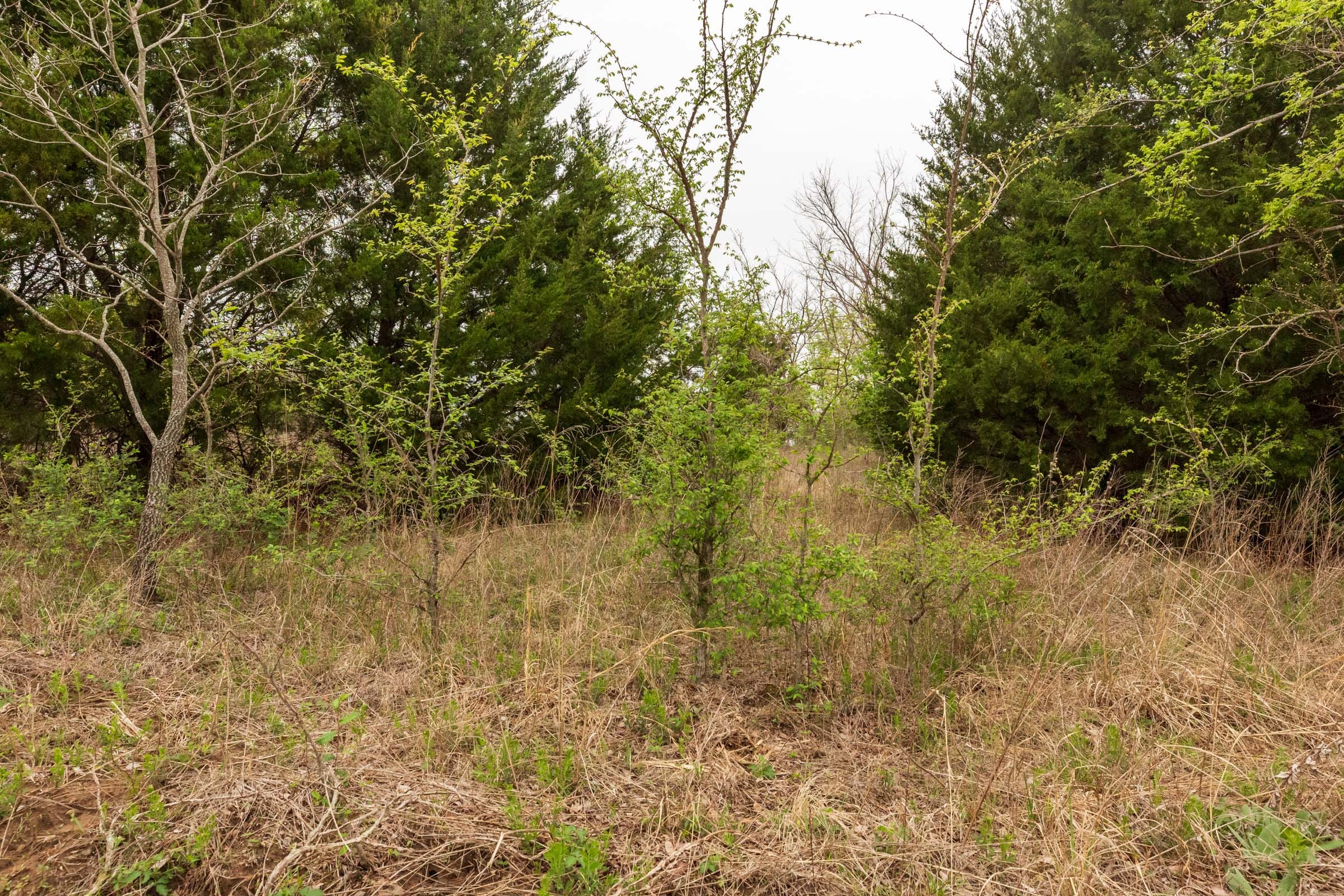 Moonrise Meadows Tract 15 photo 12