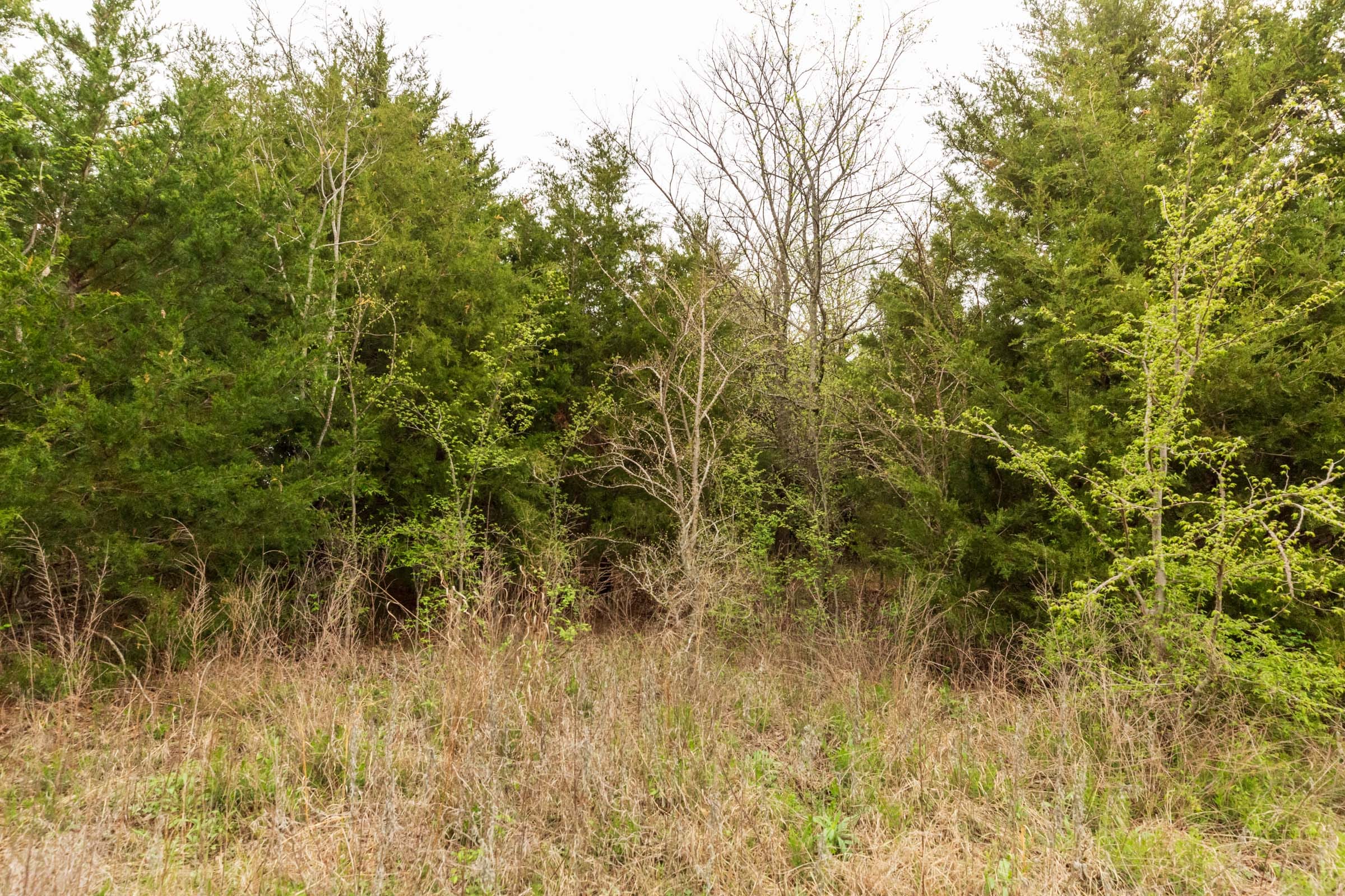 Moonrise Meadows Tract 15 photo 15