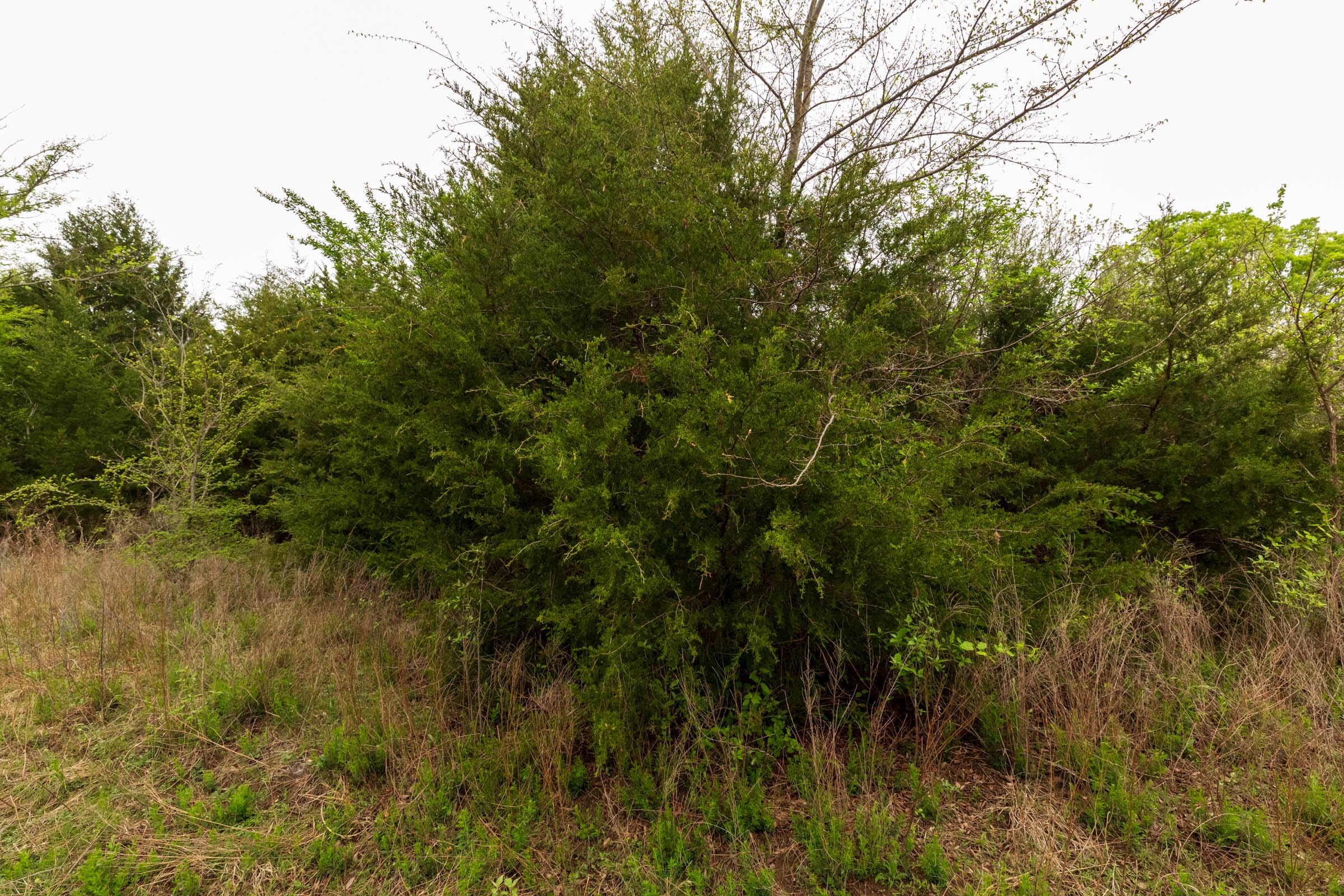 Moonrise Meadows Tract 15 photo 16