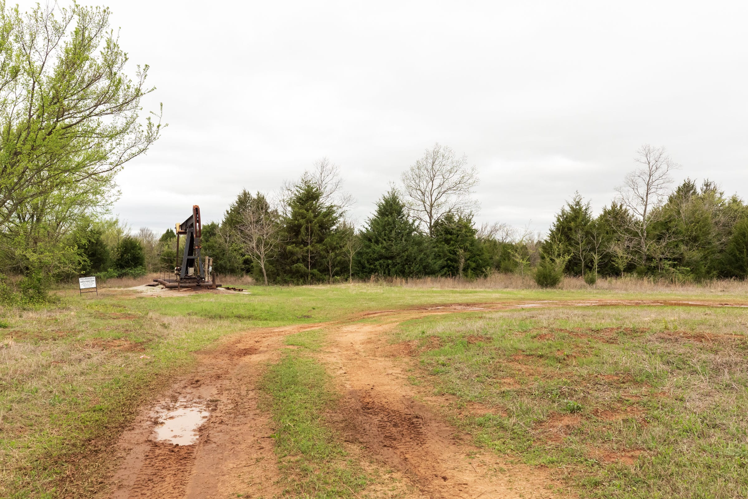 Moonrise Meadows Tract 15 photo 13