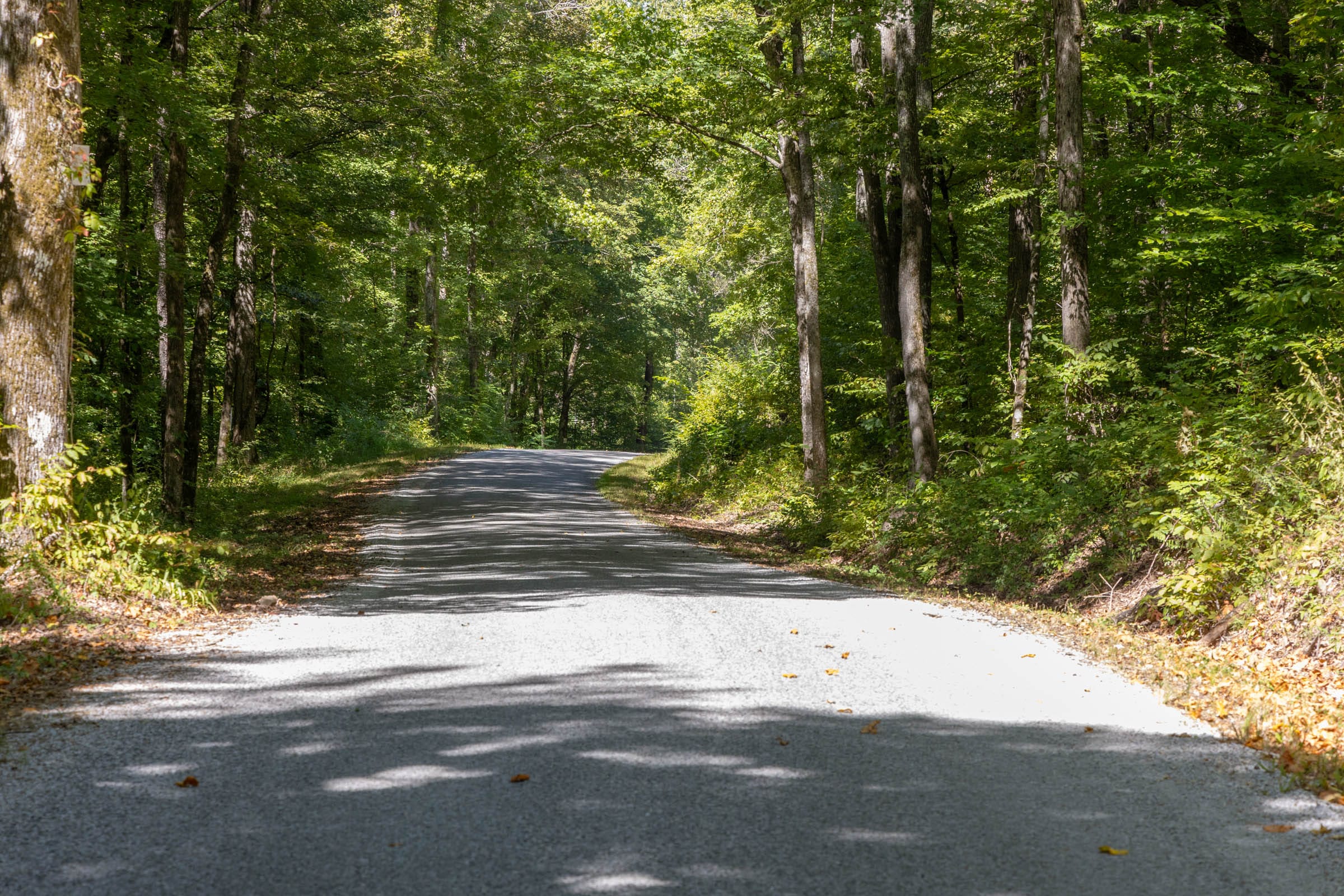 Big White Oak Tract 23 photo 8