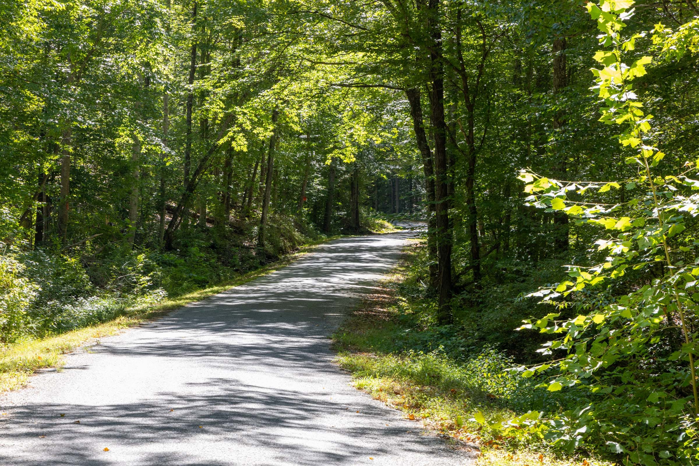 Big White Oak Tract 23 photo 2
