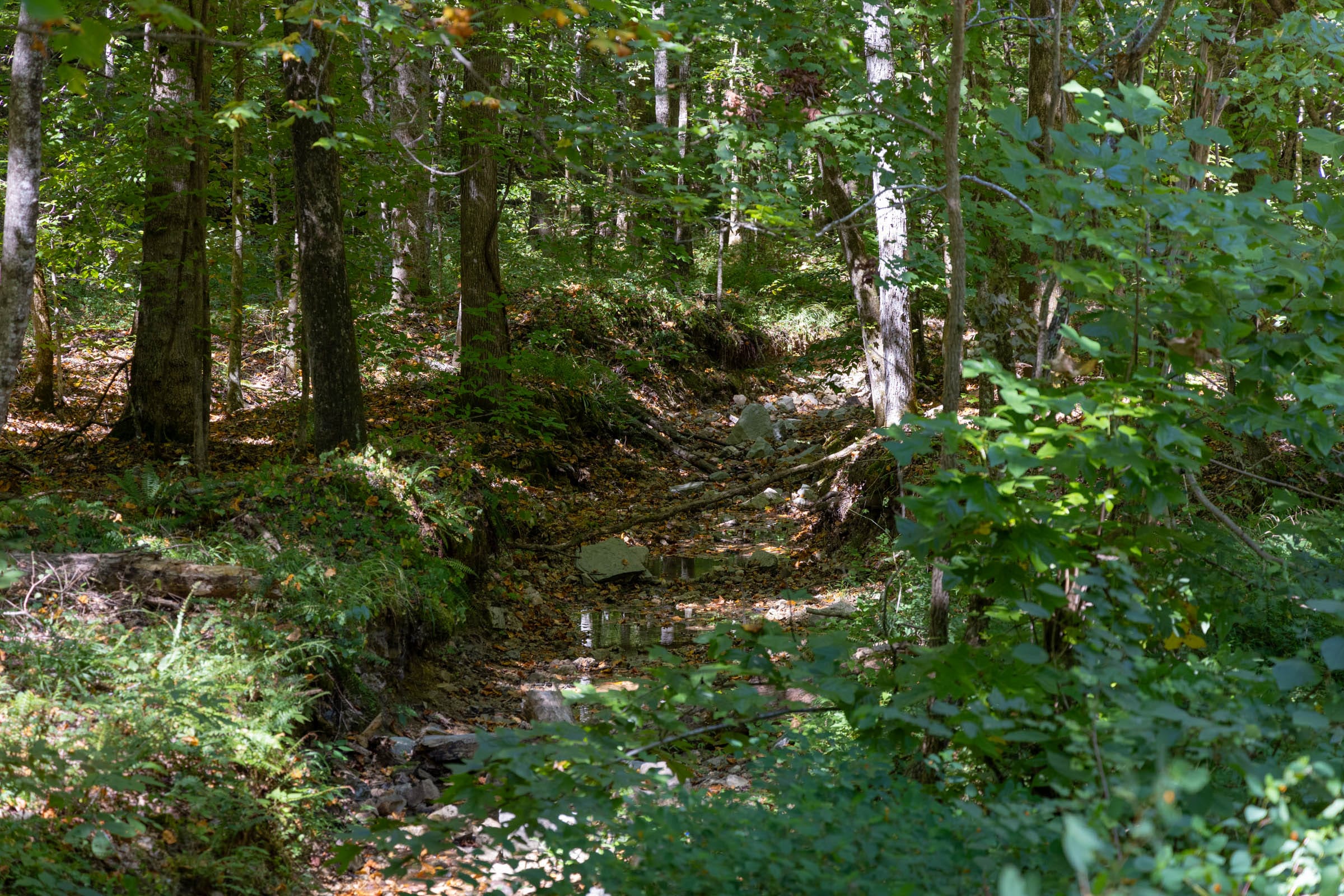 Big White Oak Tract 23 photo 1