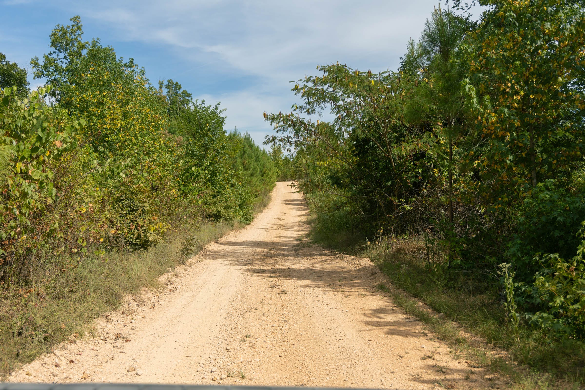 Big White Oak Tract 23 photo 10