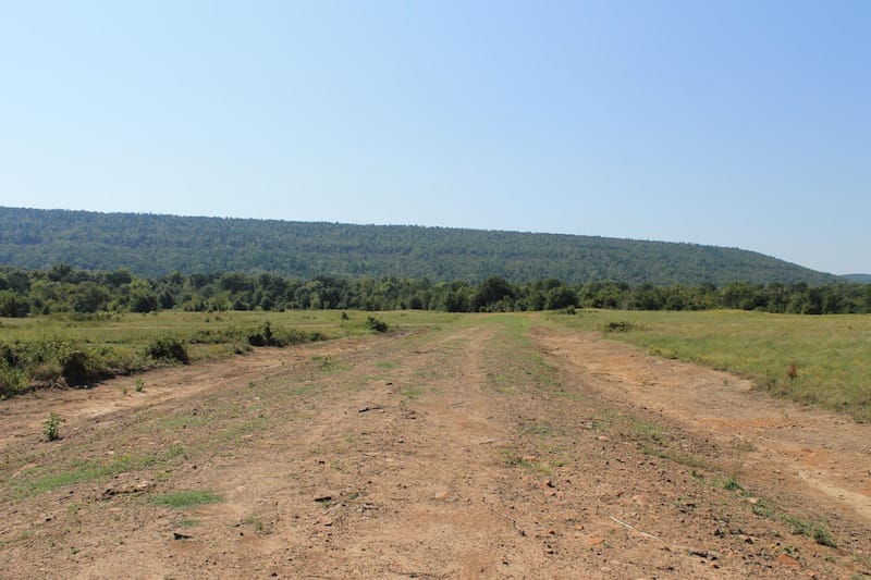 Daisy Meadows Tract 29 photo 1