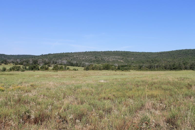 Daisy Meadows Tract 29 photo 2