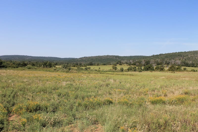 Daisy Meadows Tract 29 photo 3