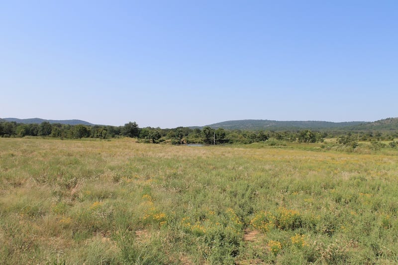 Daisy Meadows Tract 29 photo 4