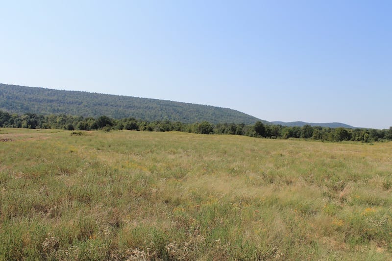 Daisy Meadows Tract 29 photo 5