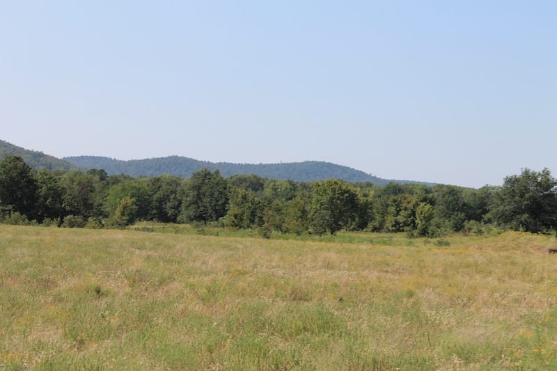 Daisy Meadows Tract 29 photo 6