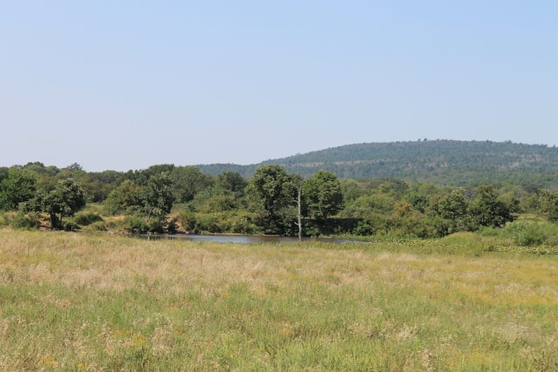 Daisy Meadows Tract 29 photo 7