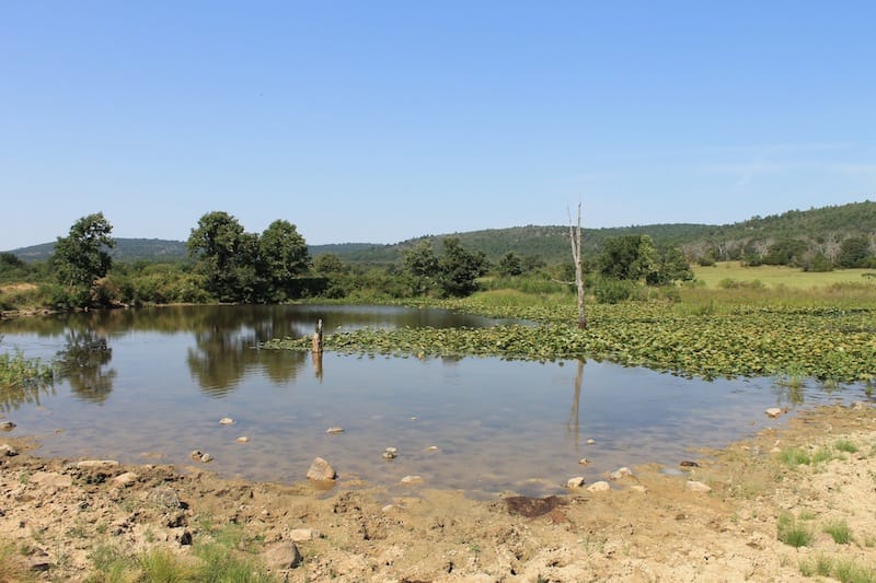 Daisy Meadows Tract 29 photo 9