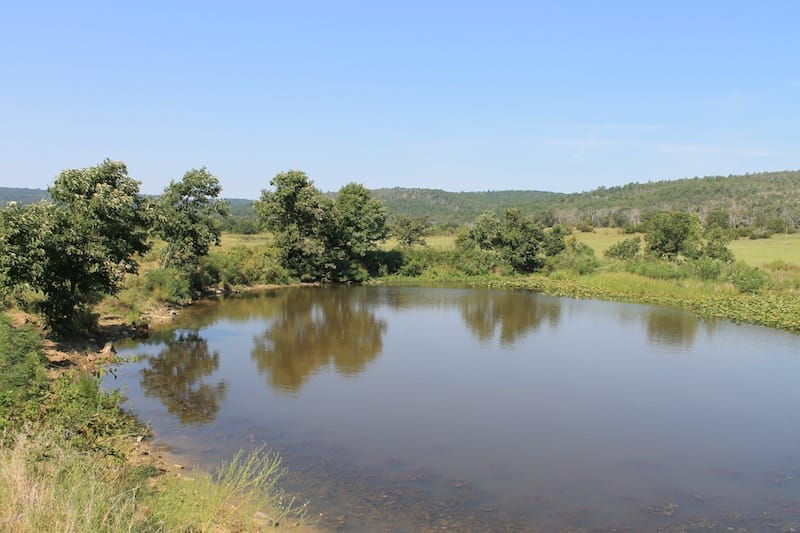 Daisy Meadows Tract 29 photo 11