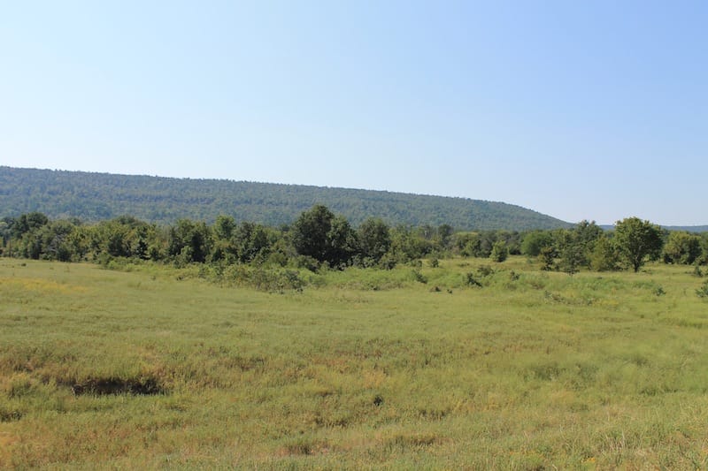 Daisy Meadows Tract 29 photo 12