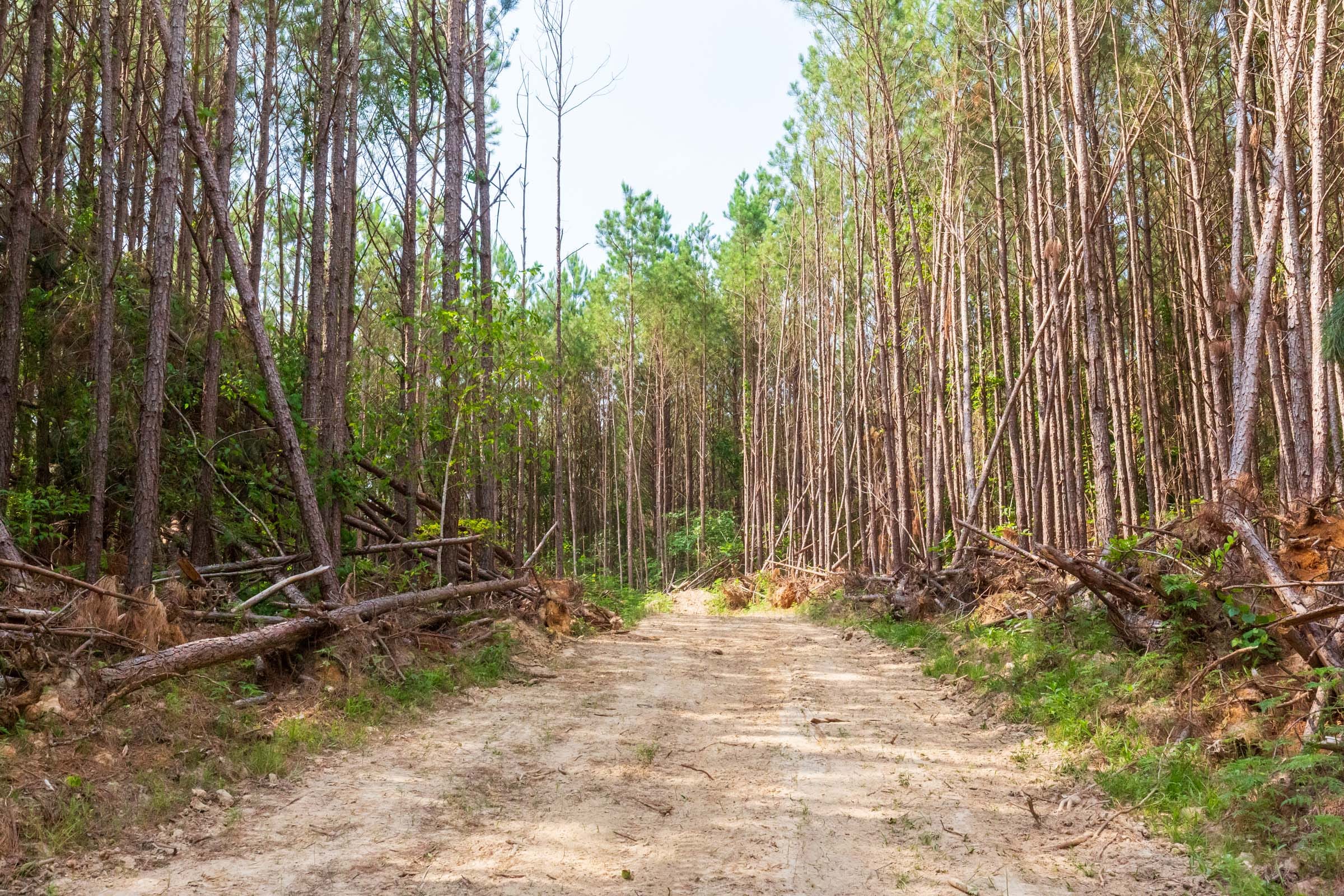 Whiskey Ridge Tract 96 photo 1