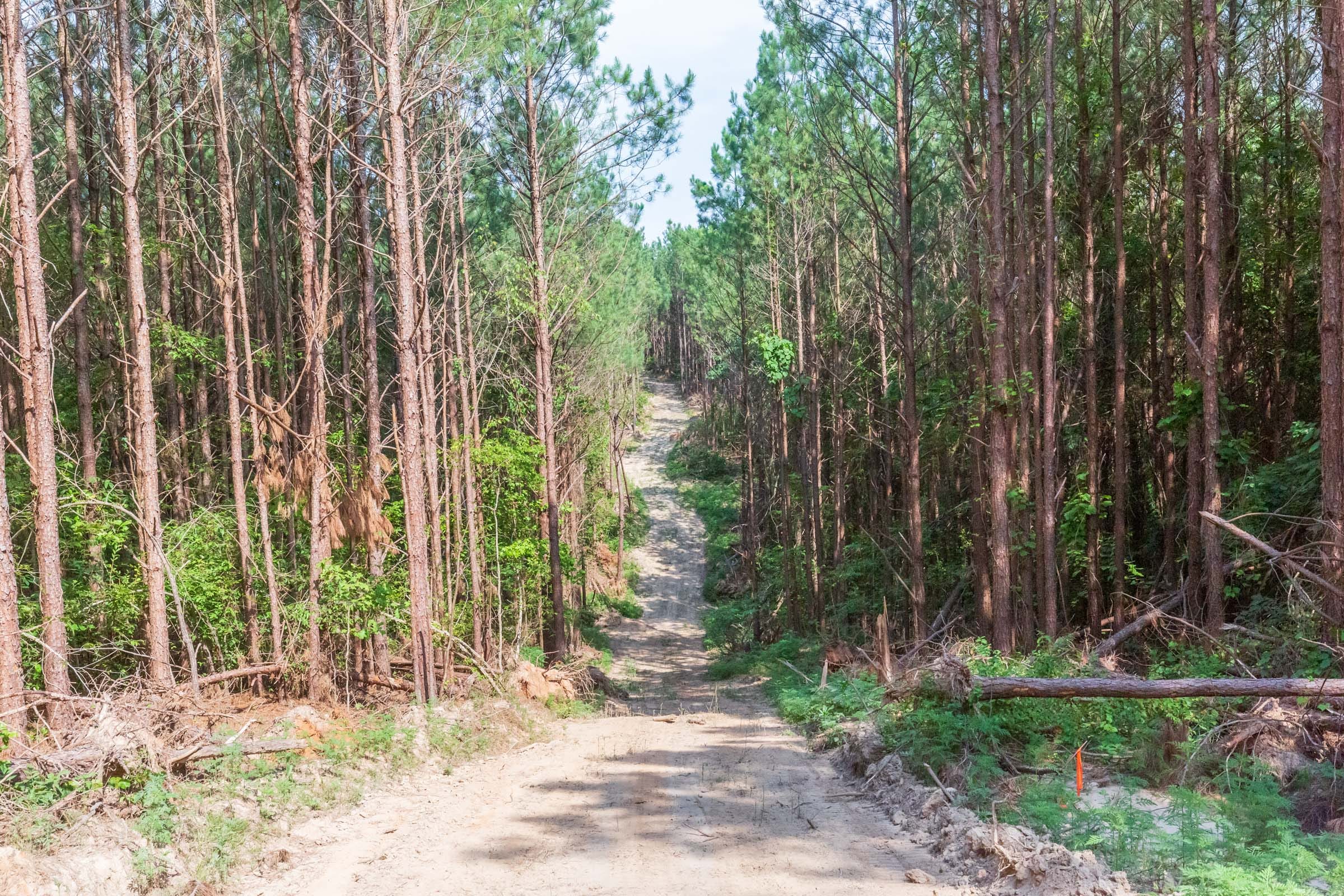 Whiskey Ridge Tract 96 photo 4