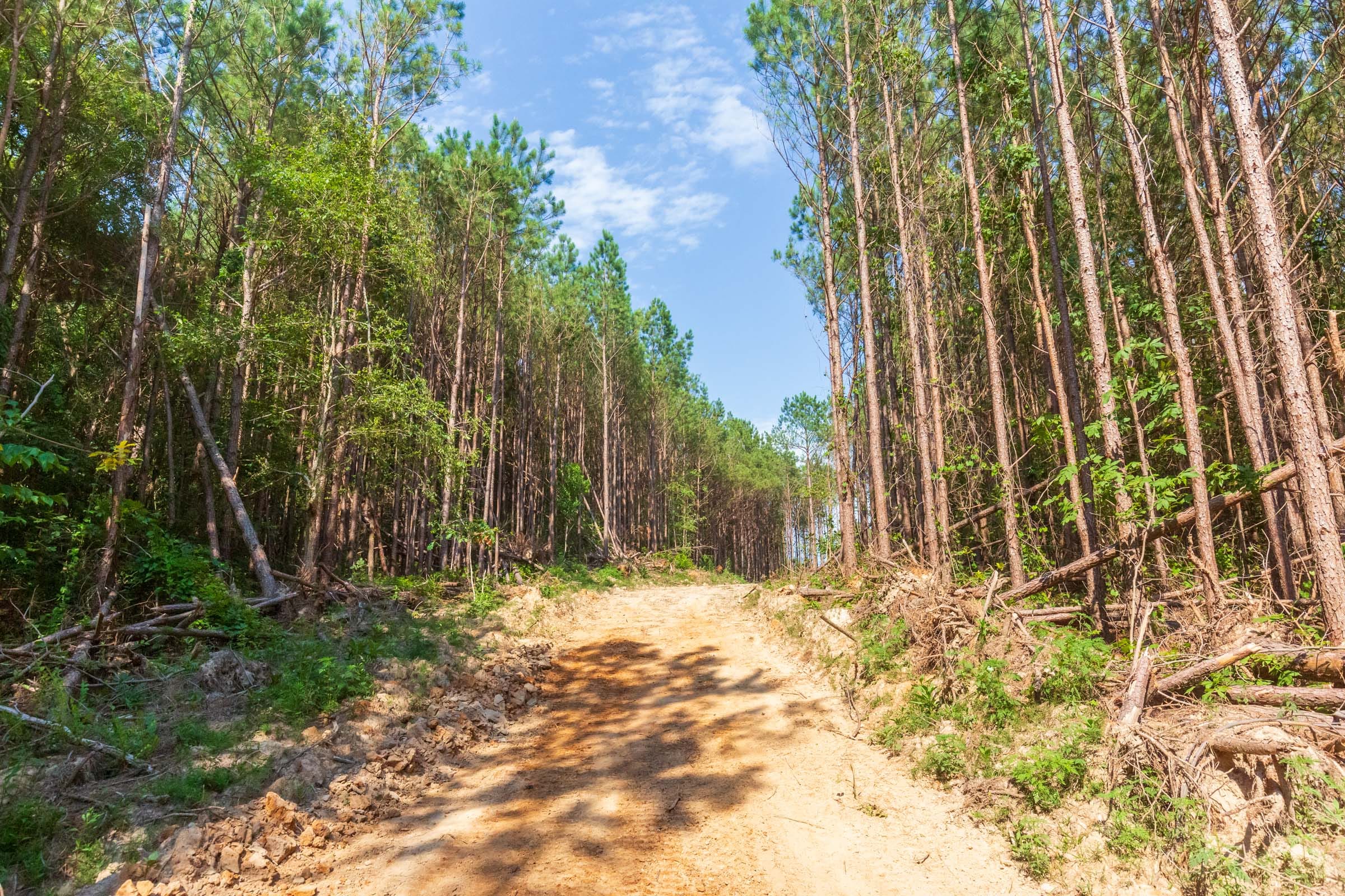 Whiskey Ridge Tract 96 photo 6