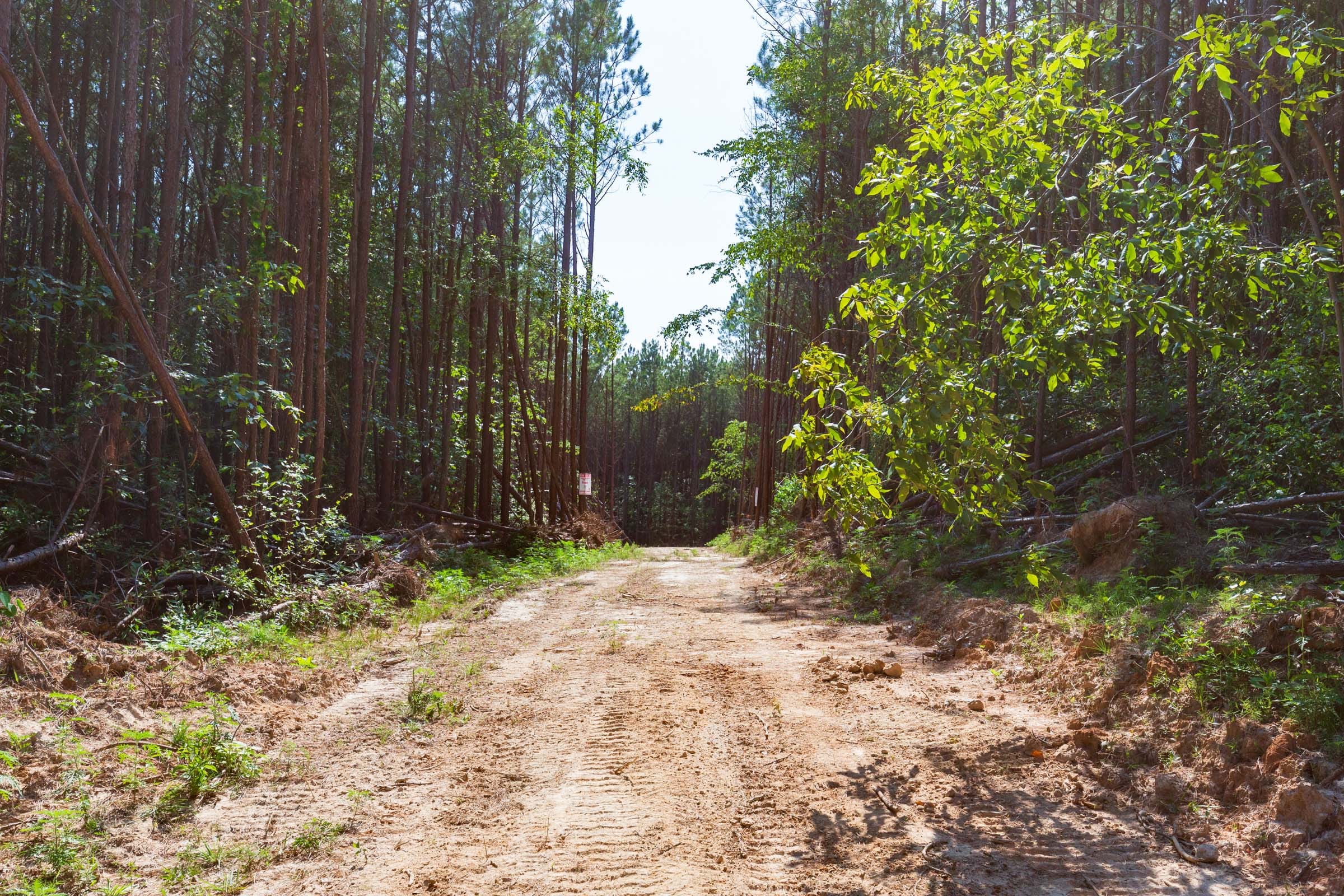 Whiskey Ridge Tract 96 photo 10
