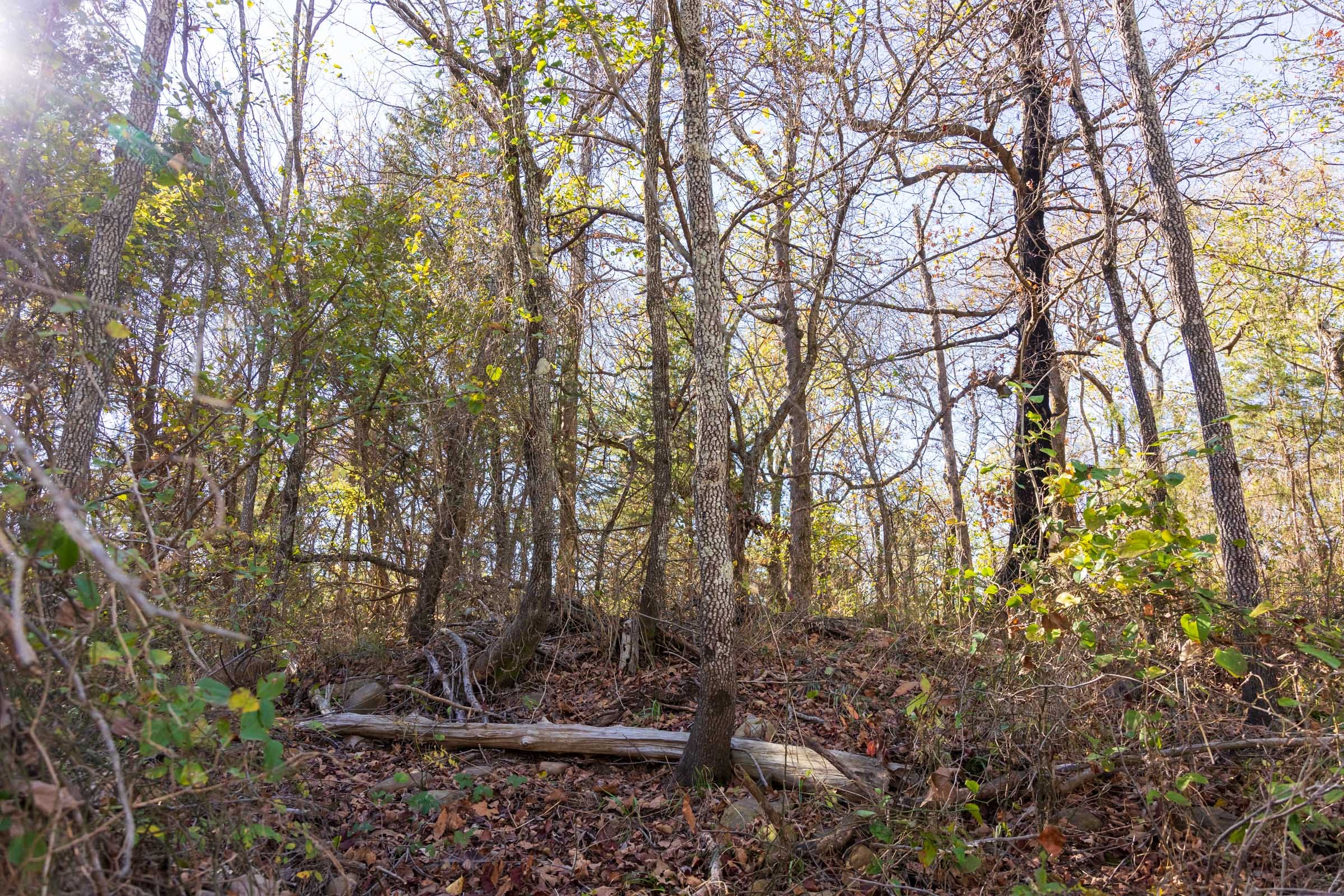 Stone Bridge Reserve Tract 13 photo 7