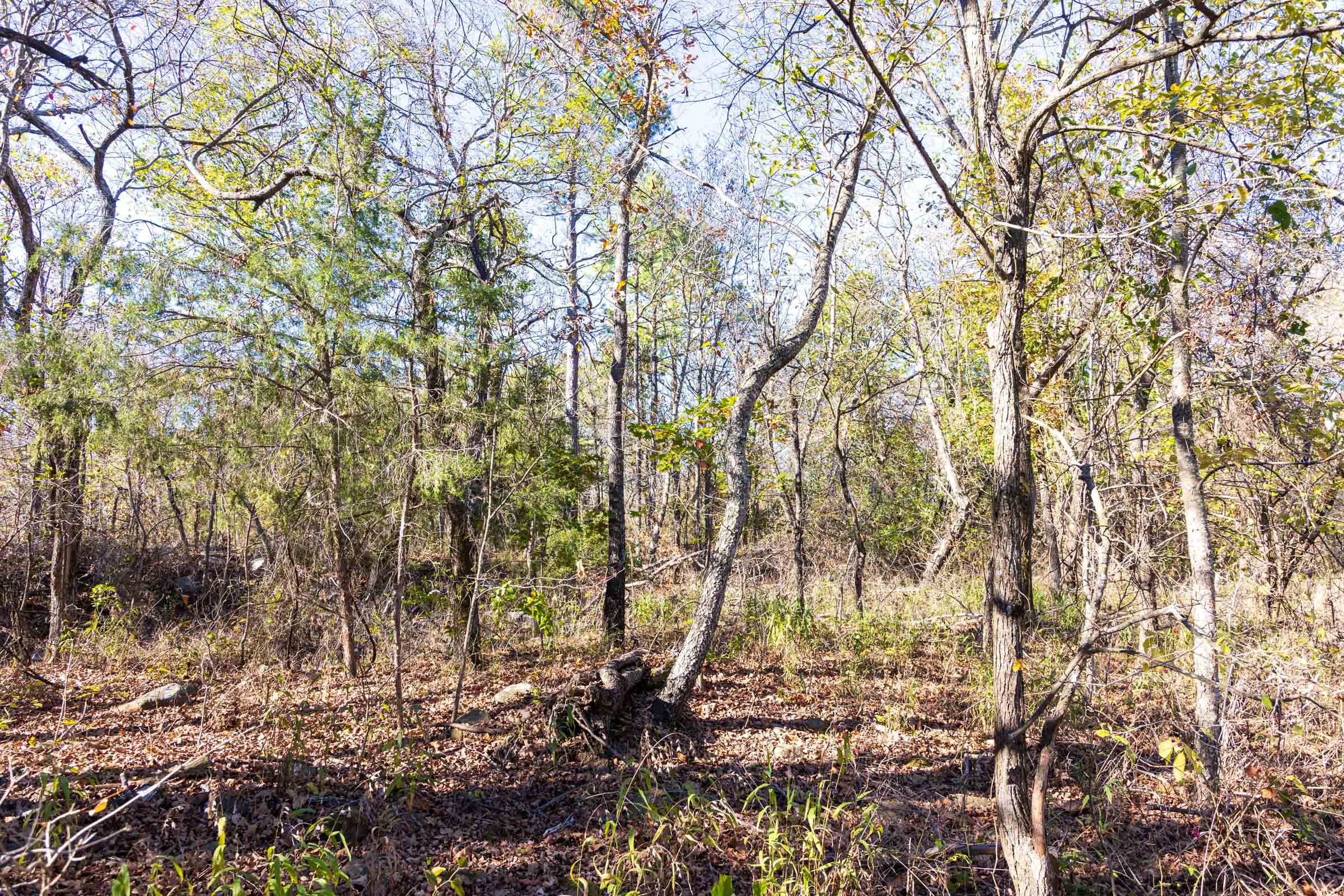 Stone Bridge Reserve Tract 13 photo 9
